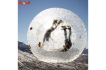 Zorb Ball Water Walker 2.5M Zorbing PVC Toy Fun Party Game For Child Adult Kameymall 

